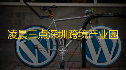 免费挂 锁头 透视 锁血凌晨三点深圳跨境产业园！90 后创业者揭秘运费利润密码�？